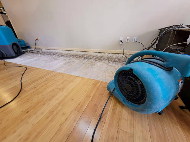 Reliable Basement Flood Cleanup contractor in Montclair, NJ by Hirex Water Damage