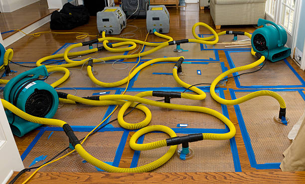 Professional Basement Flood Cleanup technician working in Montclair, NJ